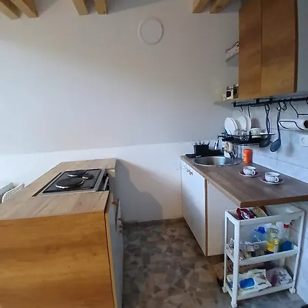 Svitac Banja Vrujci Vila Mionica