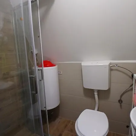 Svitac Banja Vrujci Vila