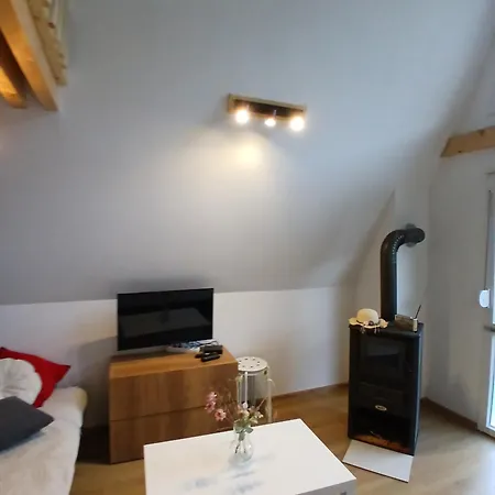 Vila Svitac Banja Vrujci