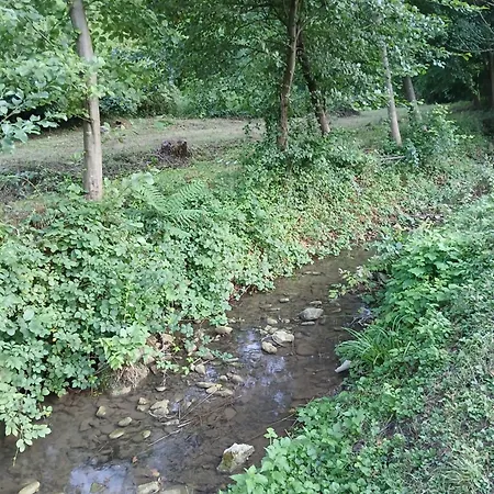 Svitac Banja Vrujci * Mionica