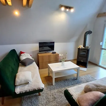 Vila Svitac Banja Vrujci *