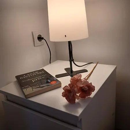 Vila Svitac Banja Vrujci Mionica