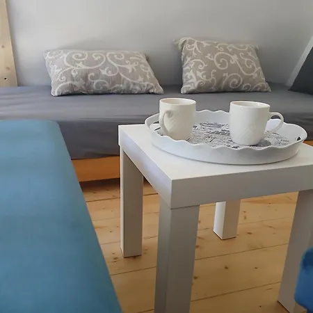 Vila Svitac Banja Vrujci Mionica