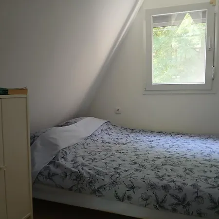 Vila Svitac Banja Vrujci