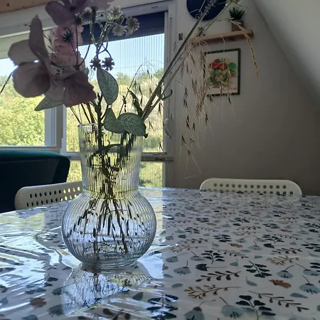 Vila Svitac Banja Vrujci