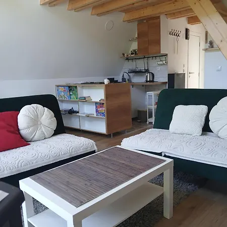 Svitac Banja Vrujci Vila Mionica