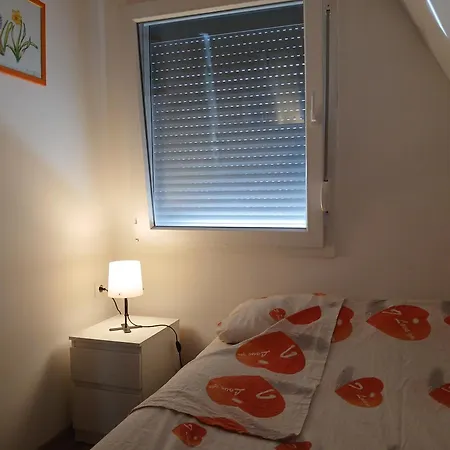 Svitac Banja Vrujci * Mionica